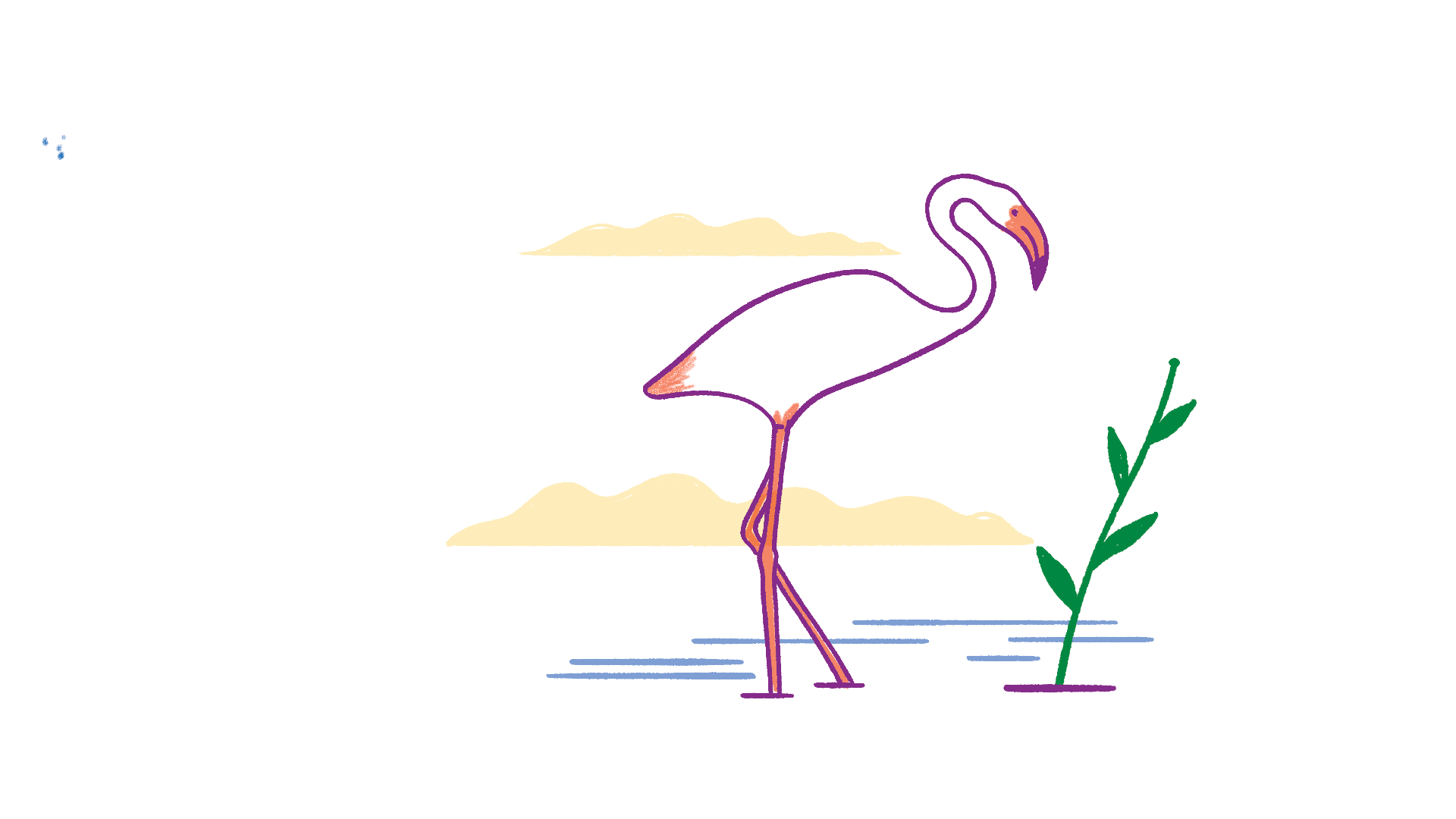 3-Flamencos-y-pelicanos